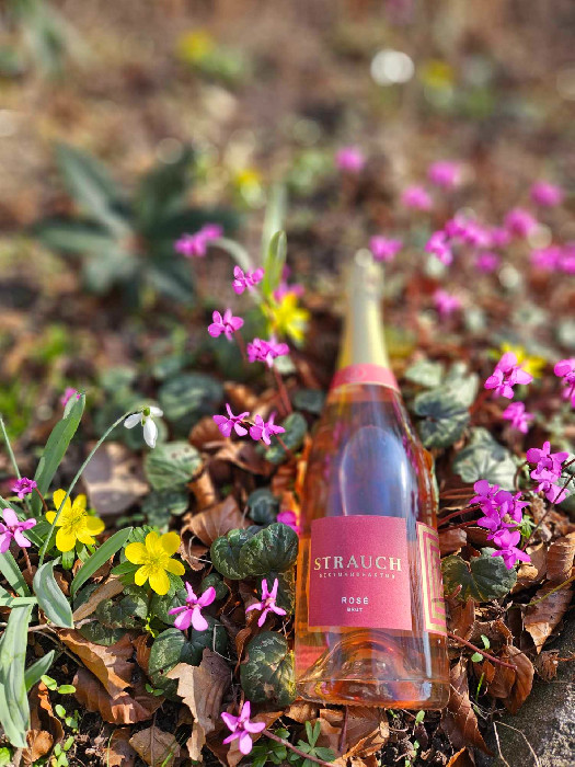 Rosé Brut :: asaochmaxvin
